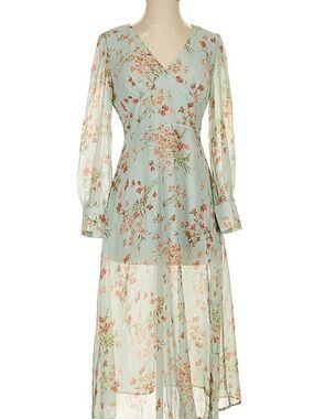 Cider Mint Floral Long-Sleeve Maxi Dress
